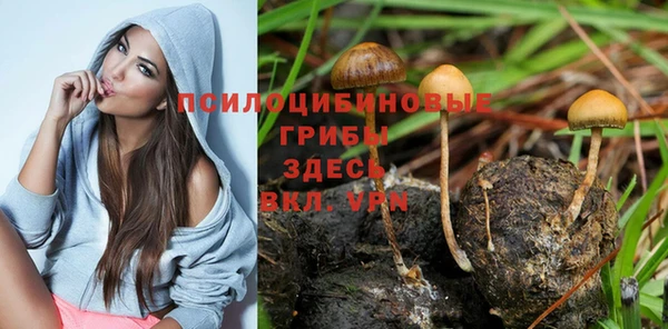 гашишное масло Володарск
