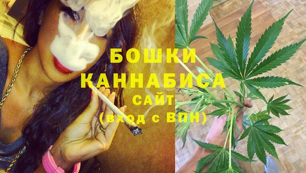 молекула духа Сосновый Бор